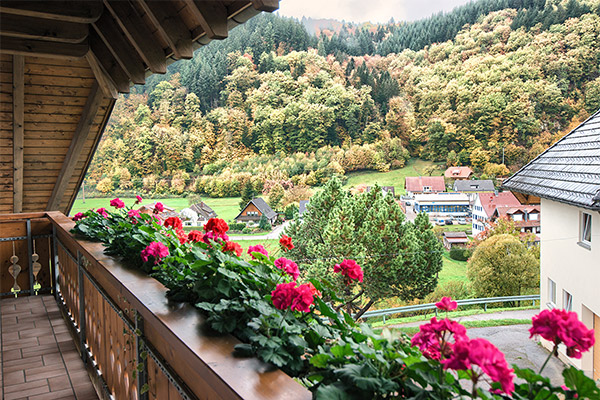 Haus Münsterberg - Ferienwohnungen auf dem Bauernhof in Münstertal Schwarzwald