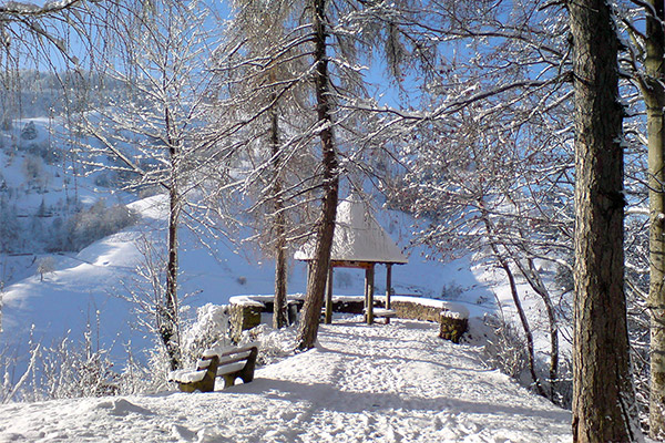 Haus Münsterberg - Ferienwohnungen auf dem Bauernhof in Münstertal Schwarzwald